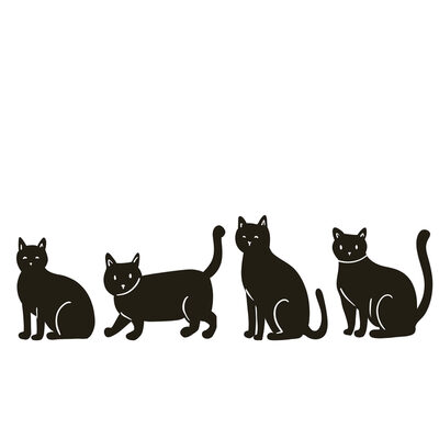 Image Not Available